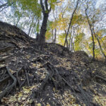 Sandomierz. Wąwóz Królowej Jadwigi / Fot. Robert Felczak – Radio Kielce