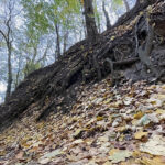 Sandomierz. Wąwóz Królowej Jadwigi / Fot. Robert Felczak – Radio Kielce