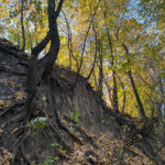 Sandomierz. Wąwóz Królowej Jadwigi / Fot. Robert Felczak – Radio Kielce