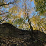 Sandomierz. Wąwóz Królowej Jadwigi / Fot. Robert Felczak – Radio Kielce