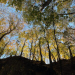 Sandomierz. Wąwóz Królowej Jadwigi