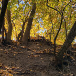 Sandomierz. Wąwóz Królowej Jadwigi / Fot. Robert Felczak – Radio Kielce