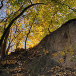 Sandomierz. Wąwóz Królowej Jadwigi / Fot. Robert Felczak – Radio Kielce