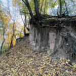 Sandomierz. Wąwóz Królowej Jadwigi / Fot. Robert Felczak – Radio Kielce