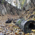 Sandomierz. Wąwóz Królowej Jadwigi / Fot. Robert Felczak – Radio Kielce