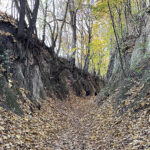 Sandomierz. Wąwóz Królowej Jadwigi / Fot. Robert Felczak – Radio Kielce