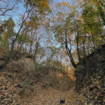 Sandomierz. Wąwóz Królowej Jadwigi / Fot. Robert Felczak – Radio Kielce