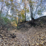 Sandomierz. Wąwóz Królowej Jadwigi / Fot. Robert Felczak – Radio Kielce