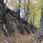 Sandomierz. Wąwóz Królowej Jadwigi / Fot. Robert Felczak – Radio Kielce