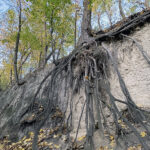 Sandomierz. Wąwóz Królowej Jadwigi / Fot. Robert Felczak – Radio Kielce