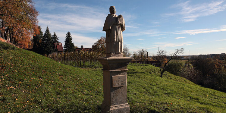Sandomierz dla mistrza Wincentego
