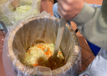 Jak kiszono kapustę na dawnej wsi? - Radio Kielce