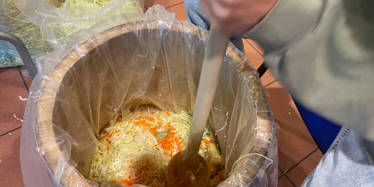 Jak kiszono kapustę na dawnej wsi? - Radio Kielce