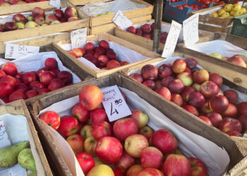 Ceny warzyw i owoców w Starachowicach (7.11.2023) - Radio Kielce