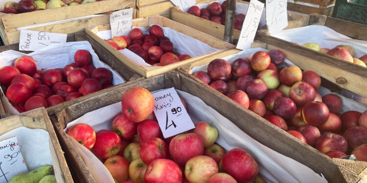 Ceny warzyw i owoców w Starachowicach (7.11.2023) - Radio Kielce