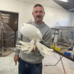 25.11.2023. Sandomierz. Wystawa rasowych gołębi, drobiu i innych zwierząt. Na zdjęciu: Szymon Żyła - hodowca z Pielaszowa w gminie Wilczyce. / Fot. Grażyna Szlęzak - Radio Kielce