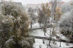 19.11.2023. Kielce. Pierwszy śnieg / Fot. Jarosław Kubalski - Radio Kielce
