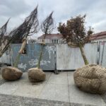 Zielona rewitalizacja „po kielecku" - Radio Kielce Zielona rewitalizacja „po kielecku" - Radio Kielce