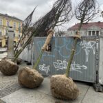 Zielona rewitalizacja „po kielecku" - Radio Kielce Zielona rewitalizacja „po kielecku" - Radio Kielce