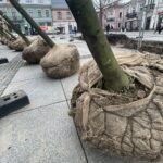 Zielona rewitalizacja „po kielecku" - Radio Kielce Zielona rewitalizacja „po kielecku" - Radio Kielce