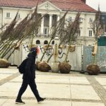 Zielona rewitalizacja „po kielecku" - Radio Kielce Zielona rewitalizacja „po kielecku" - Radio Kielce