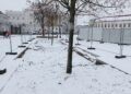 Czy zimowa aura to dobry czas na sadzenie drzew i krzewów?