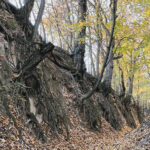 Sandomierz. Wąwóz Królowej Jadwigi / Fot. Robert Felczak – Radio Kielce