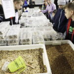 04.11.2023. Kielce. Hala Legionów. GeoExpo. Giełda Minerałów, Biżuterii i Skamieniałości / Fot. Jarosław Kubalski – Radio Kielce