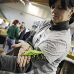 04.11.2023. Kielce. Hala Legionów. GeoExpo. Giełda Minerałów, Biżuterii i Skamieniałości / Fot. Jarosław Kubalski – Radio Kielce