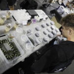 04.11.2023. Kielce. Hala Legionów. GeoExpo. Giełda Minerałów, Biżuterii i Skamieniałości / Fot. Jarosław Kubalski – Radio Kielce