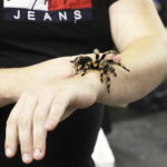 04.11.2023. Kielce. Hala Legionów. GeoExpo. Giełda Minerałów, Biżuterii i Skamieniałości / Fot. Jarosław Kubalski – Radio Kielce