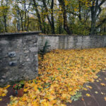 Kielce. Klasztor Karczówka; Kościół św. Karola Boromeusza na Karczówce w Kielcach / Fot. Robert Felczak – Radio Kielce