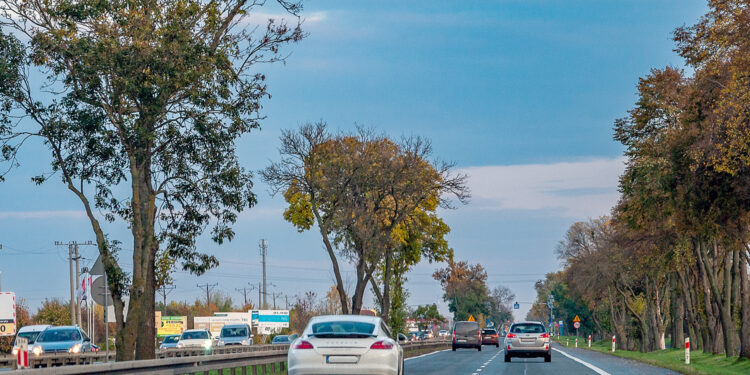 Kolejny odcinek drogi krajowej nr 7 stanie się trasą ekspresową. Generalna Dyrekcja Dróg Krajowych i Autostrad (GDDKiA) podpisała umowę na budowę drogi S7 Czosnów – Kiełpin / Fot. Krzysztof Nalewajko - GDDKiA