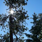 Powoli nadchodzi ocieplenie