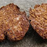 Wnętrznica smardzowata / Fot. Jan Kochanowski