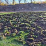 02.11.2023. Starachowice. Stadion Staru Starachowice. Murawa stadionu zniszczona przez dziki / Fot. Marek Materek - Facebook