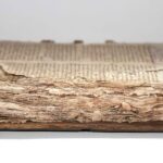 Niezwykle cenne zabytki biblioteki zostaną uratowane