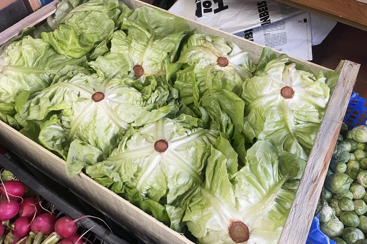 Ceny warzyw i owoców w Sandomierzu (28.12.2023)