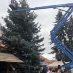 17.12.2023. Staszów. Ubieranie choinki / Fot. Grażyna - Szlęzak - Radio Kielce