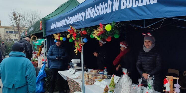 W Dwikozach świąteczny kiermasz i ludowa muzyka - Radio Kielce 17.12.2023. Dwikozy. Kiermasz / Fot. GOK w Dwikozach