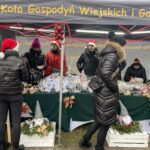 17.12.2023. Staszów. Ubieranie choinki / Fot. Grażyna - Szlęzak - Radio Kielce