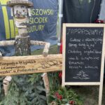 17.12.2023. Staszów. Ubieranie choinki / Fot. Grażyna - Szlęzak - Radio Kielce