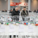 09.12.2023 Kielce. Krajowa Wystawa Gołębi Rasowych i Drobnego Inwentarza / Fot. Wiktor Taszłow - Radio Kielce