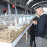 10.12.2023. Kielce. Targi Kielce. Świetokrzyska Wystawa Królików / Fot. Wiktor Taszłow - Radio Kielce