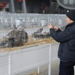 10.12.2023. Kielce. Targi Kielce. Świetokrzyska Wystawa Królików / Fot. Wiktor Taszłow - Radio Kielce