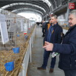 10.12.2023. Kielce. Targi Kielce. Świetokrzyska Wystawa Królików / Fot. Wiktor Taszłow - Radio Kielce