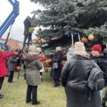 17.12.2023. Staszów. Ubieranie choinki / Fot. Grażyna - Szlęzak - Radio Kielce