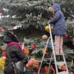 17.12.2023. Staszów. Ubieranie choinki / Fot. Grażyna - Szlęzak - Radio Kielce