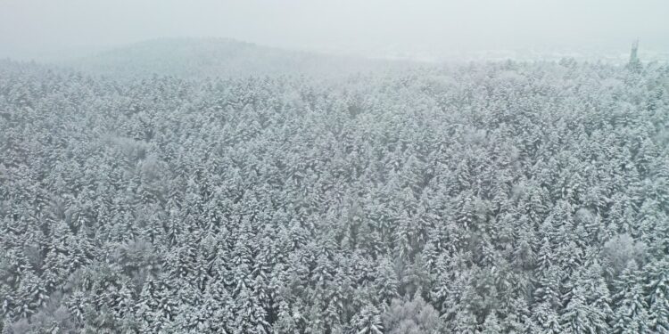 Zimowa aura w górach sprawia, że warunki na szlakach są bardzo trudne - Radio Kielce Zimowa aura w górach sprawia, że warunki na szlakach są bardzo trudne