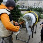 Ile kosztuje żywa choinka? - Radio Kielce 14.12.2023. Kielce. Plac Wolności. Choinki / Fot. Jarosław Kubalski - Radio Kielce